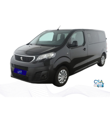 Mini Van Executiva